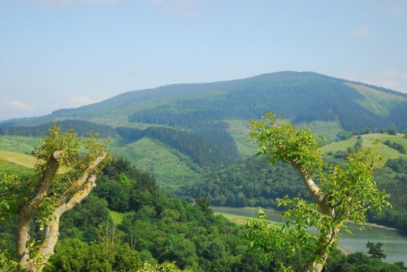 Casa Rural Erretzabal Txiki Orio Εξωτερικό φωτογραφία